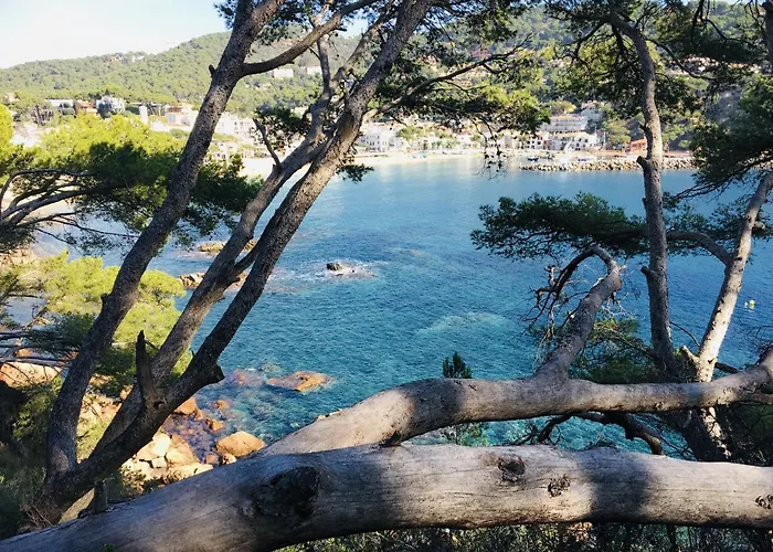 Ancora * Llafranc